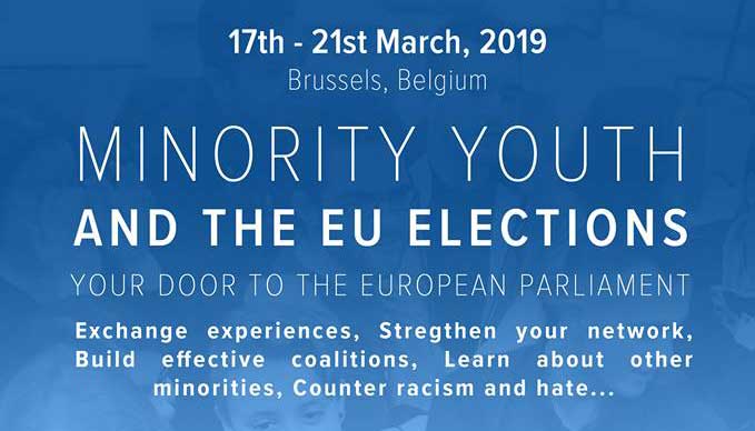 Call for Participants: Minority Youth and the European Parliament elections in 2019